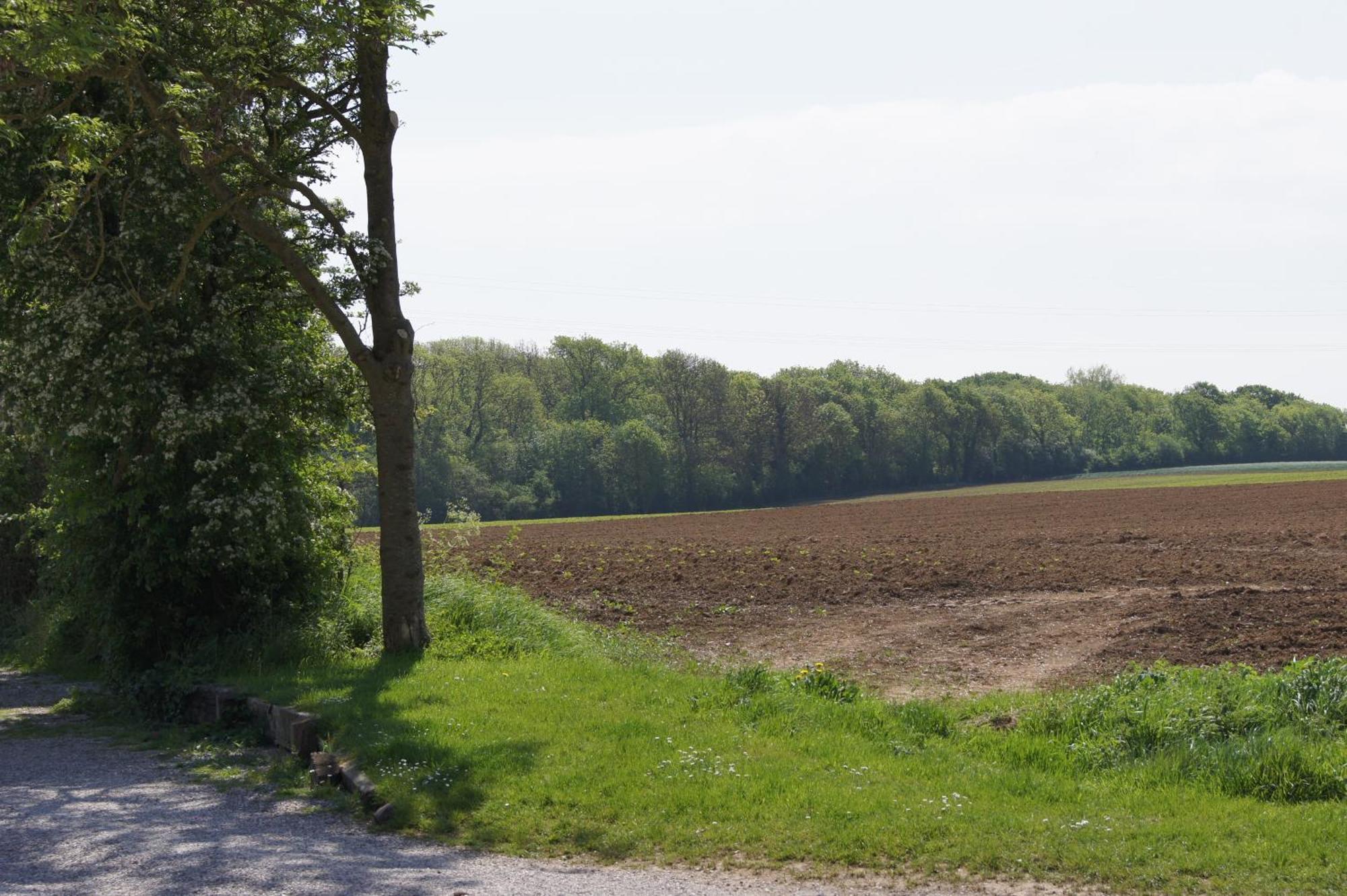 Logis La Ferme Du Vert Wierre-Effroy Exteriér fotografie